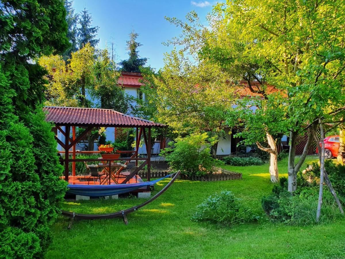 Pension Agnes Vişeu de Sus Εξωτερικό φωτογραφία