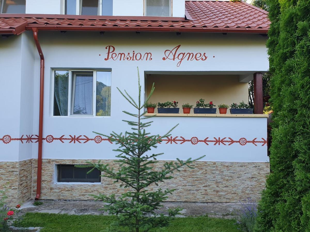 Pension Agnes Vişeu de Sus Εξωτερικό φωτογραφία