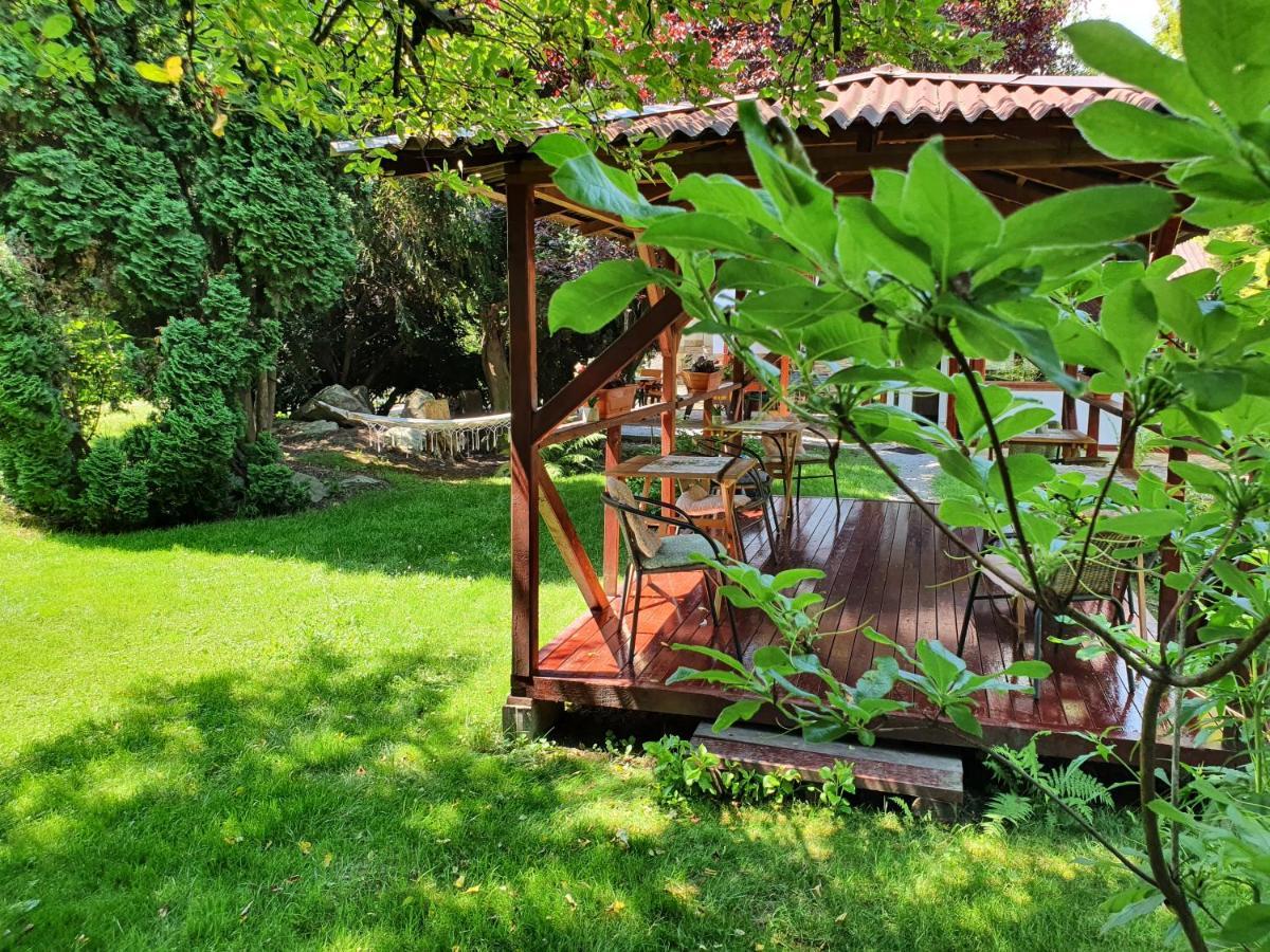 Pension Agnes Vişeu de Sus Εξωτερικό φωτογραφία